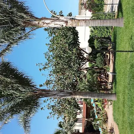Le Palme Di Conturrana Tropicale Aparthotel San Vito Lo Capo