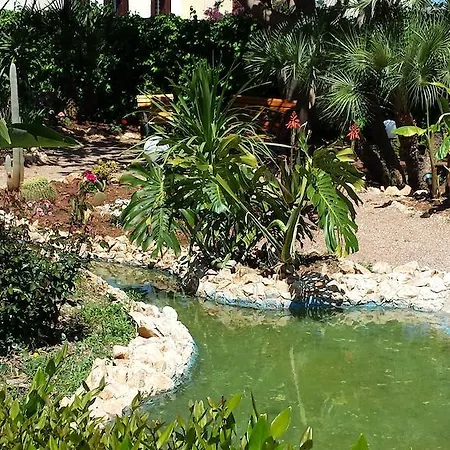 Le Palme Di Conturrana Tropicale